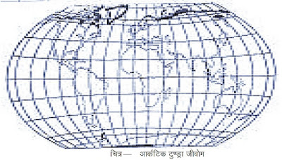 आर्कर्टिक टुण्ड्रा जीवोम