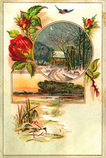 label digital download rose winter