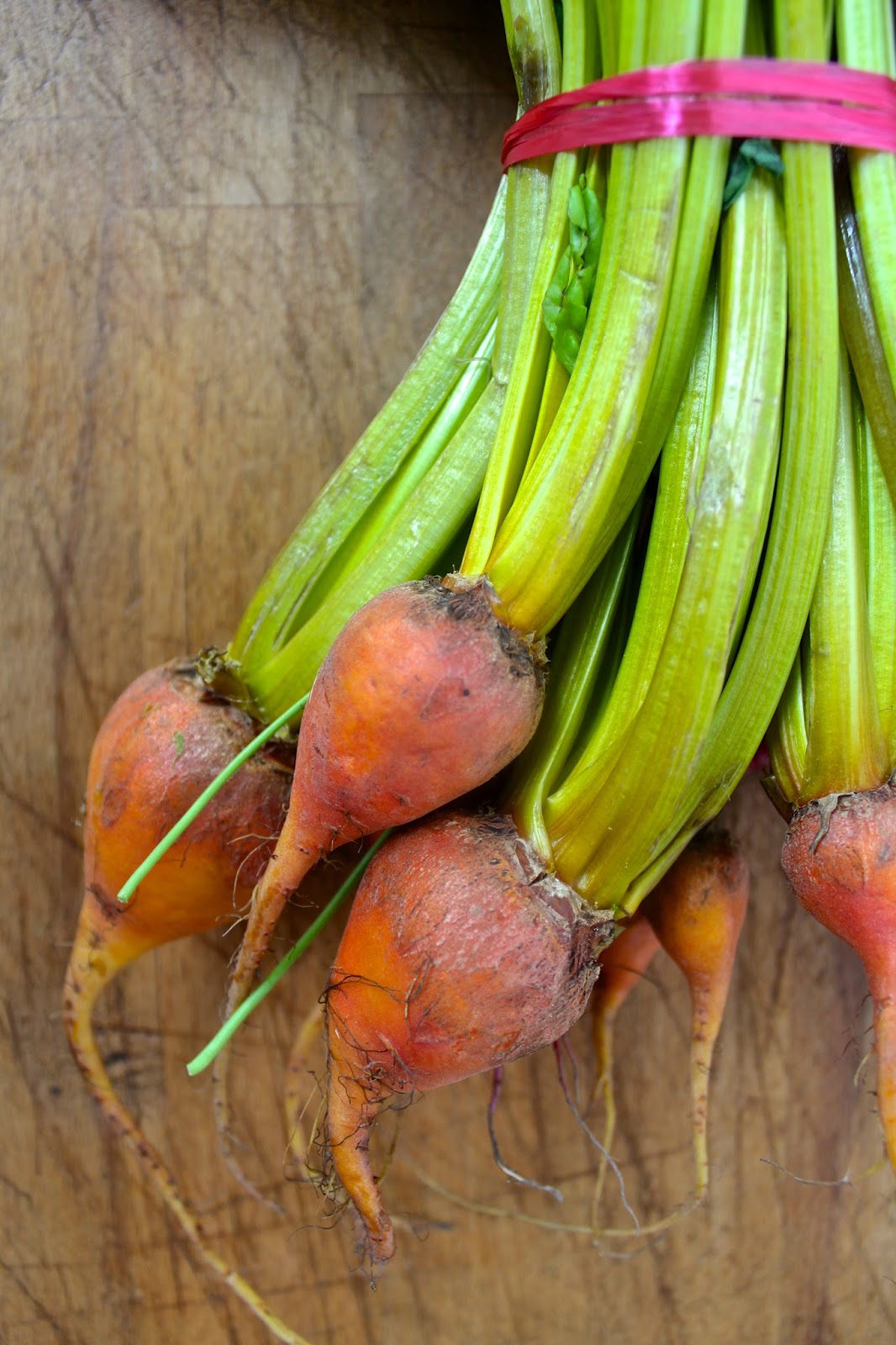 Sam Cooks Food Beetroot salad with lardo, broad beans, roasted garlic