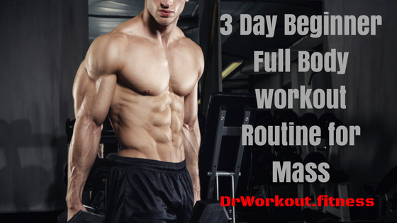 3 Day Beginner Full Body Workout Routine for Mass