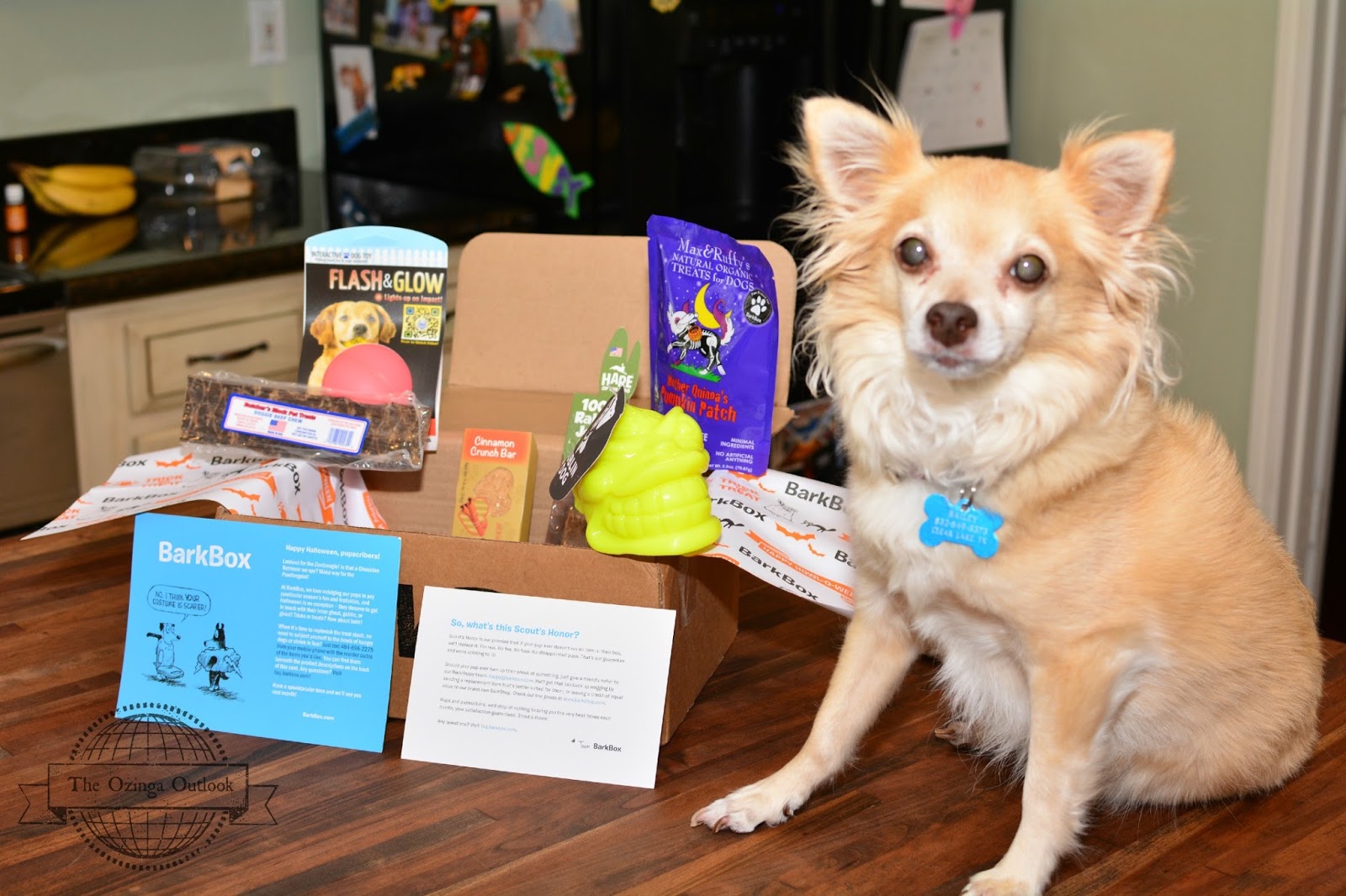 The Ozinga Outlook October BarkBox
