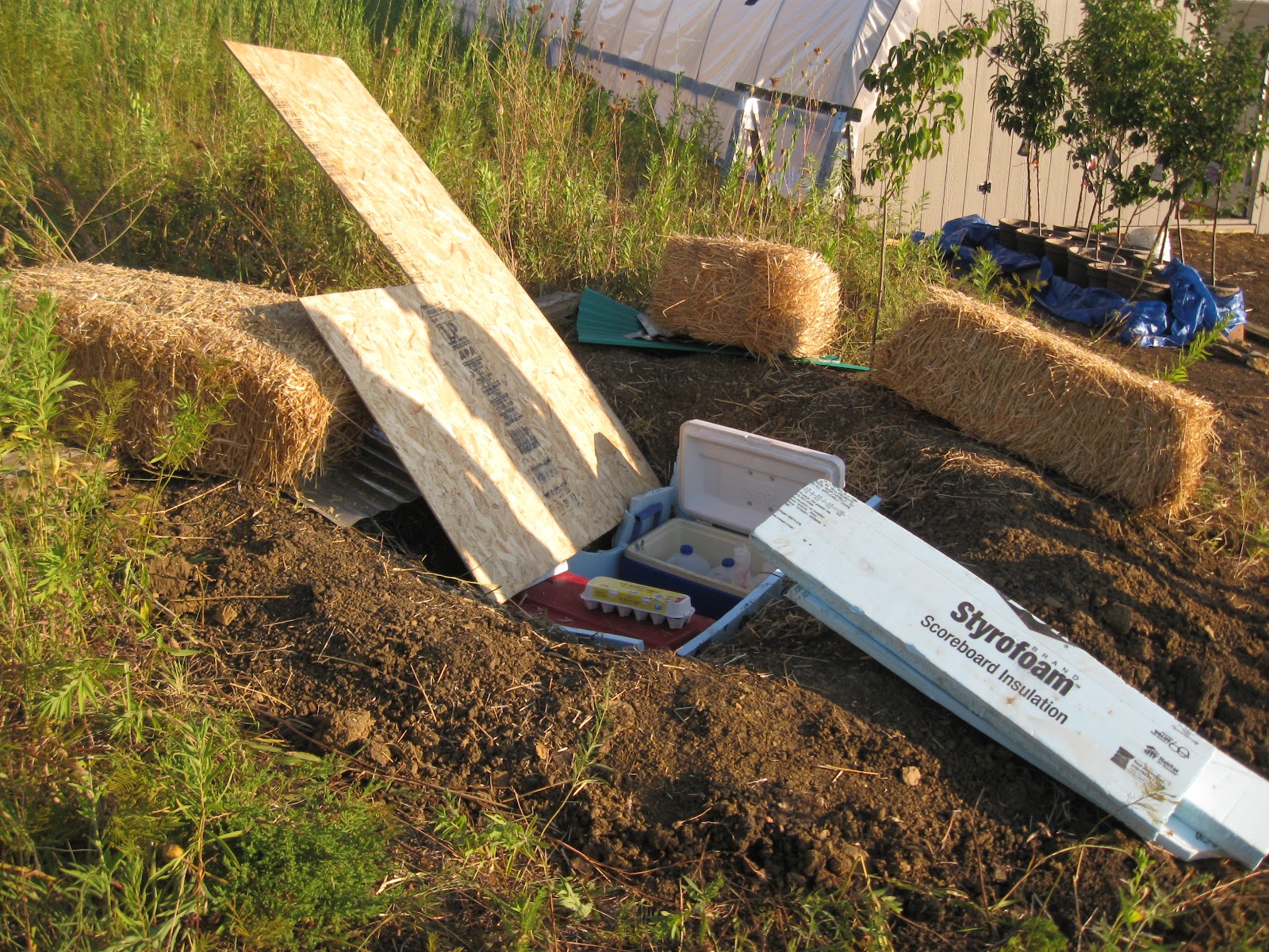 The Lehrmans: In-ground refrigerator