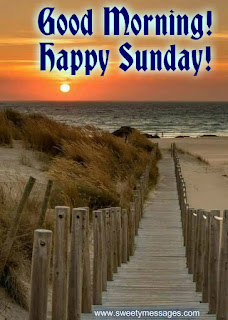 good morning and happy sunday images have a nice sunday images