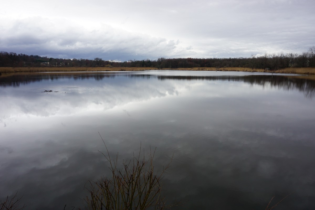 Harriman Hiker Harriman State Park and Beyond Celery Farm Loop