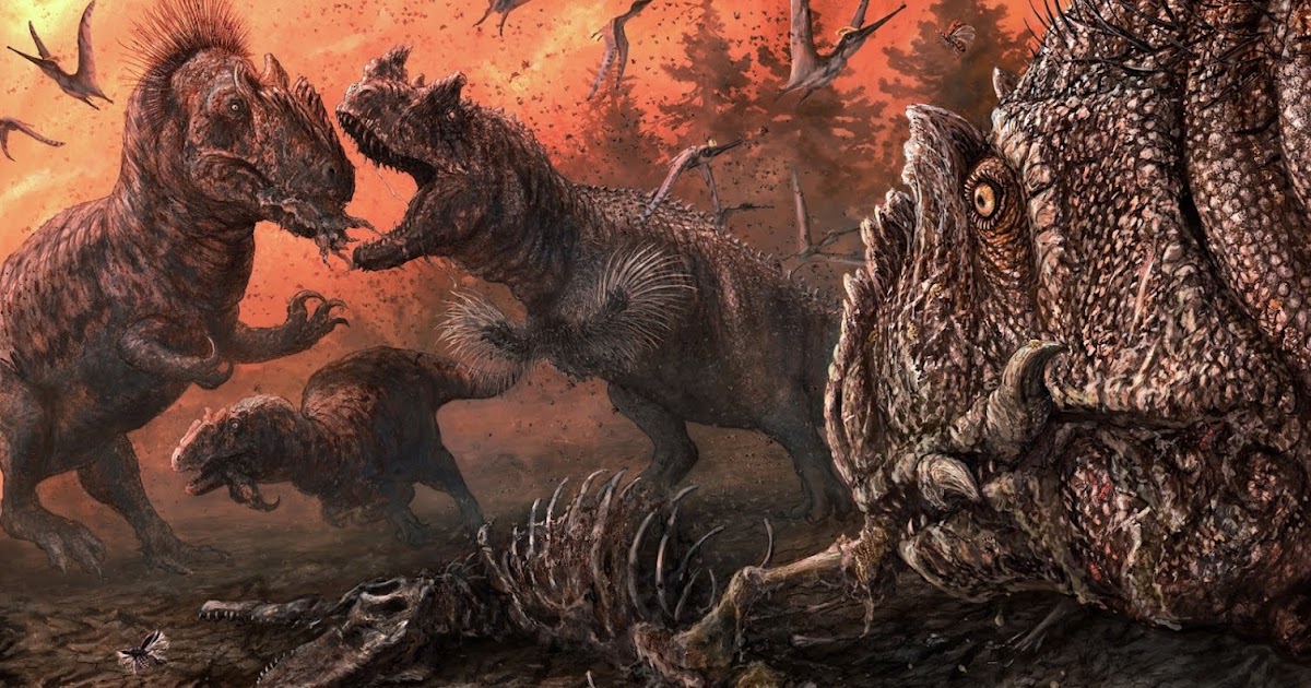 ceratosaurus and allosaurus