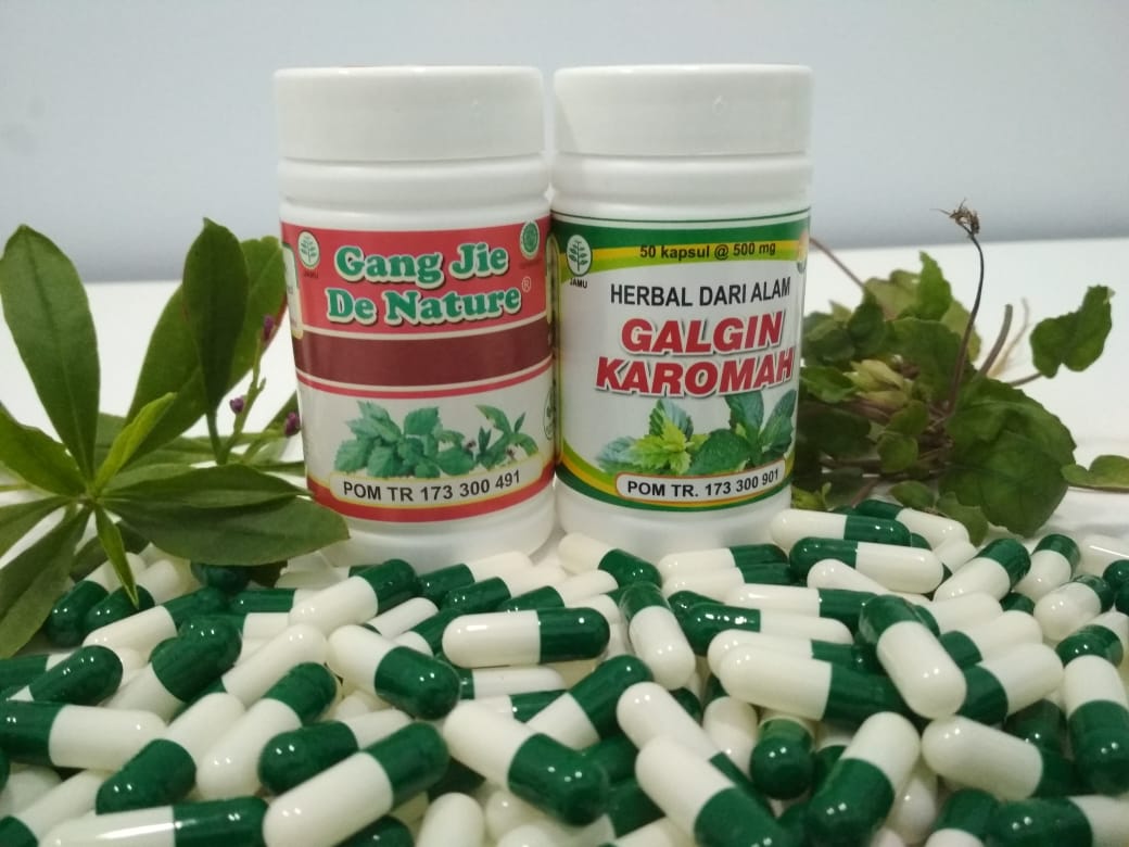 Obat Herbal Kencing Batu