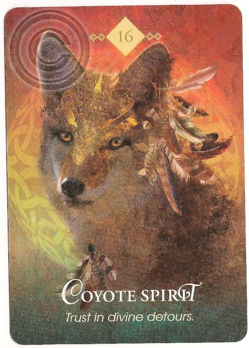 Tarot Notes: New Moon Reading with The Spirit Animal Oracle