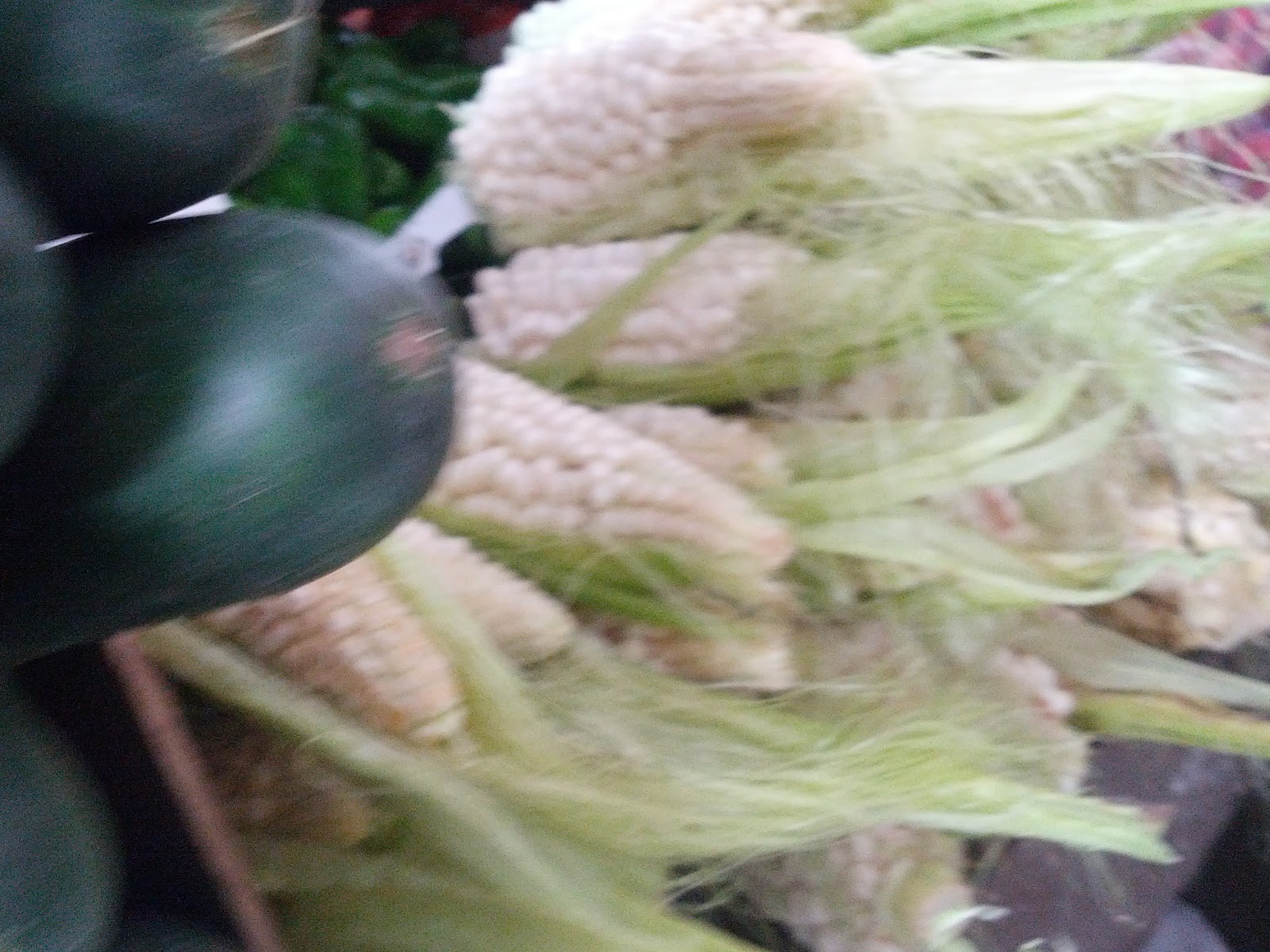 Gastrolamas Tortillas de choclo