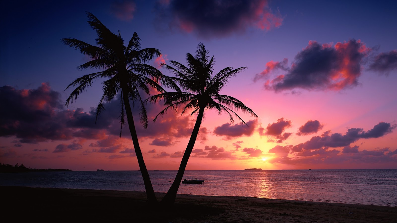 Palm Trees Beaches Sunset Desktop Backgrounds