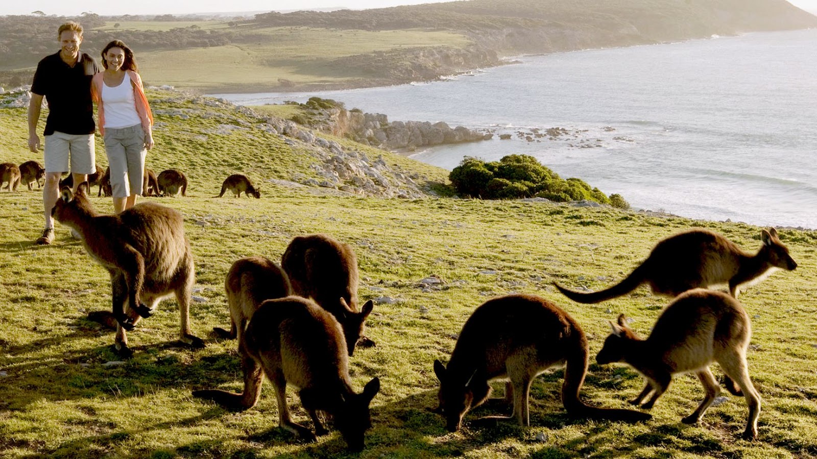 10 Objek Wisata Menarik di Australia yang Wajib Dikunjungi