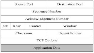 Format Segmen TCP
