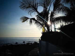 Morning Sunlight Between The Leaves In The Garden Of The House By The Beach North Bali Indonesia