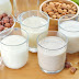 #GoVegan | 3 Receitas Fáceis Veganas Para Fazer Seu Leite