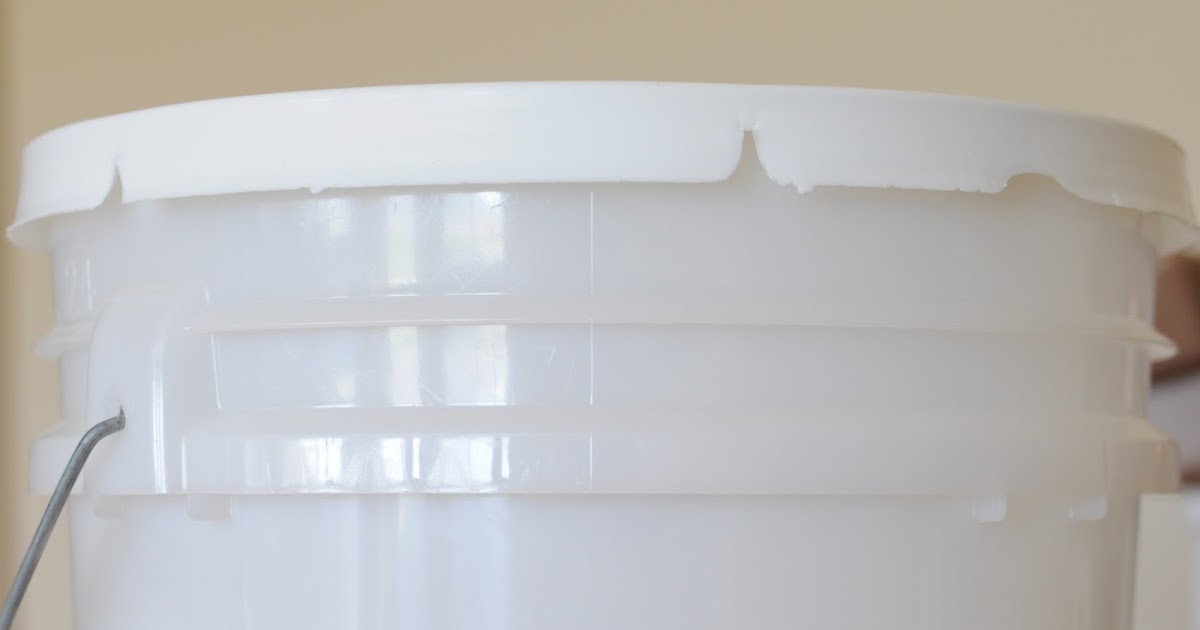 Opening 5 Gallon Buckets Provident Princess