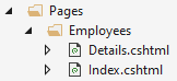 razor pages route parameters