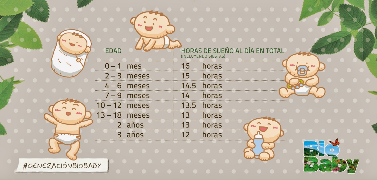 Cuanto debe dormir un bebe de 5 meses