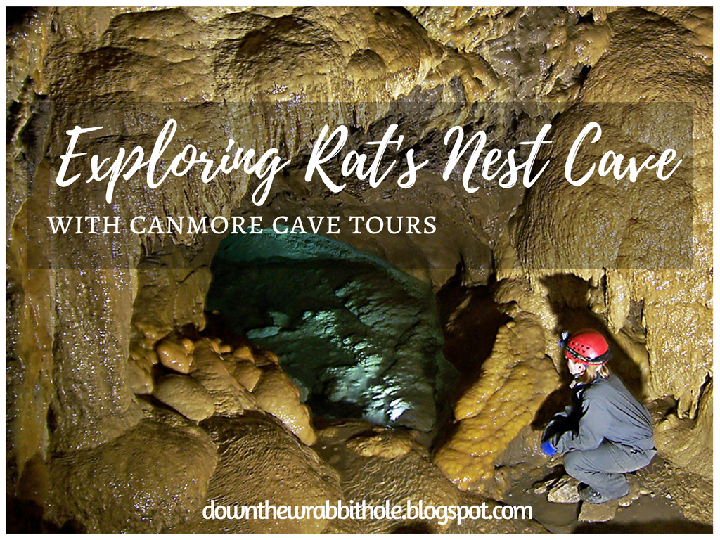 Down the Wrabbit Hole The Travel Bucket List Exploring Rat's Nest