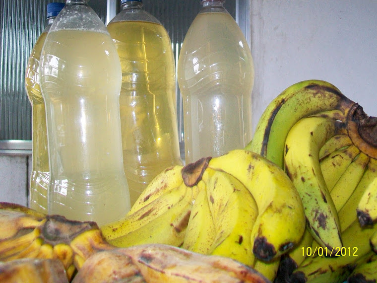 Banana da Agroprata