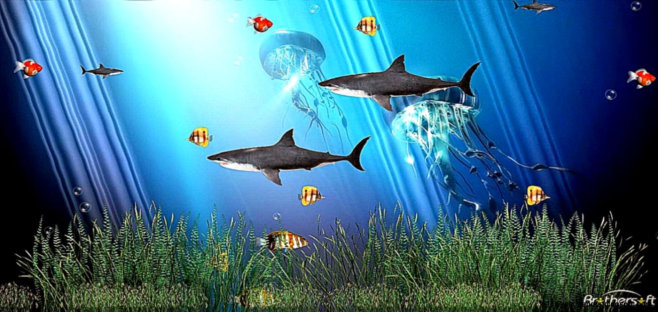 Windows 7 Animated Screensavers Wallpaper  Best Free HD Wallpaper