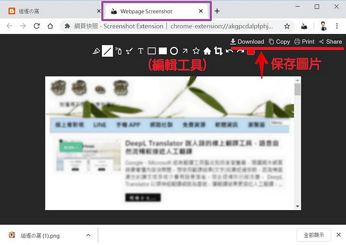 Webpage Screenshot 擴充功能