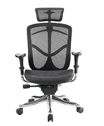 Fuzion Luxury Chair Fuzion Luxury Chair