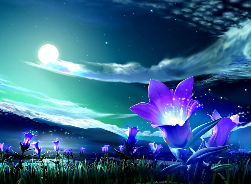 Windows 7 Desktop Flowers