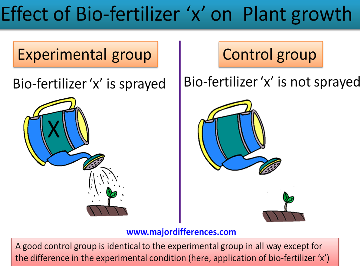 The Difference Between Control Group and Experimental Group