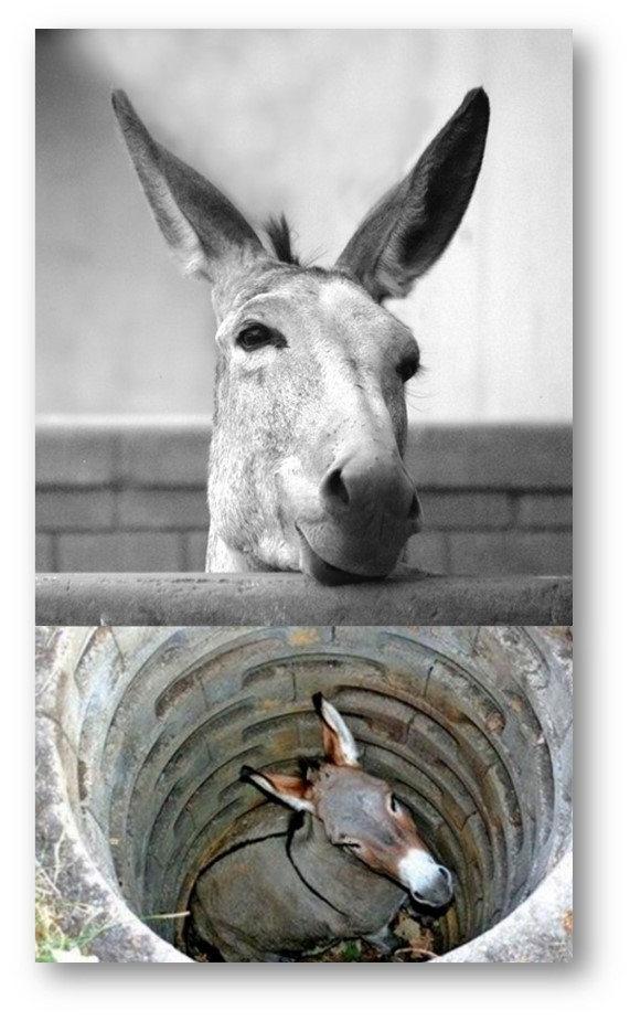 Soy feliz cuando estoy ENPAZYARMONIA espiritual, psicológica, emocional