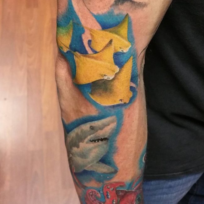 tatuaje de mantas raya y tiburones