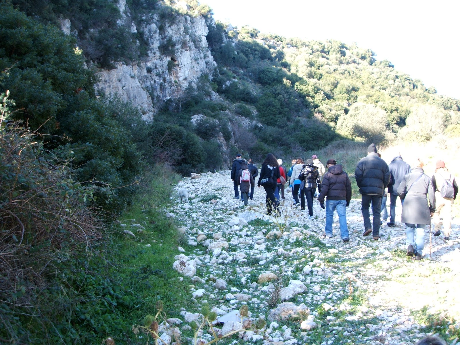 ECHI DI GRAVINE PRIMI ACCENNI DI ECO TURISMO NELLA GRAVINA DI GINOSA