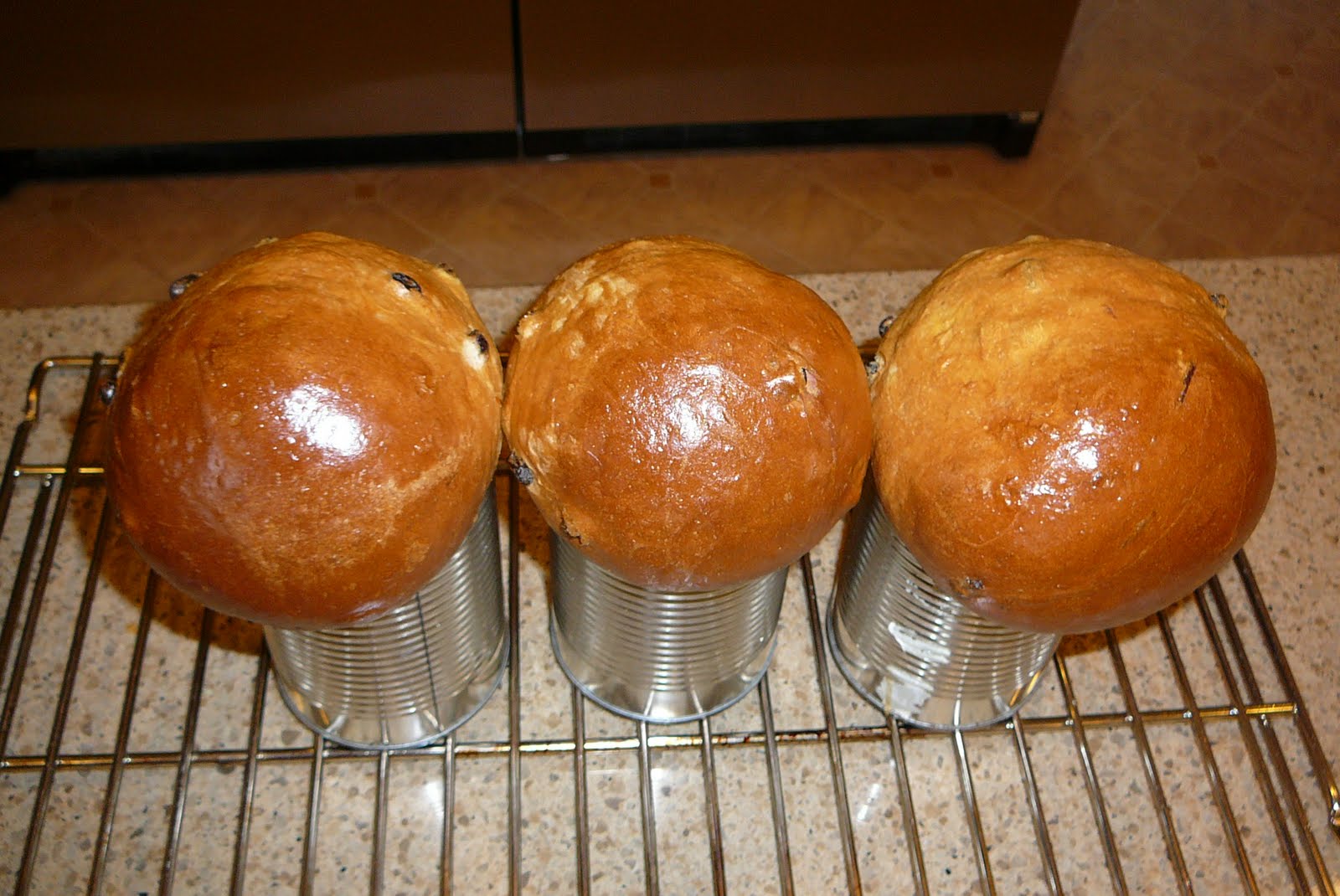 Rise and Bake! Babka (Ukrainian Easter Raisin Bread)
