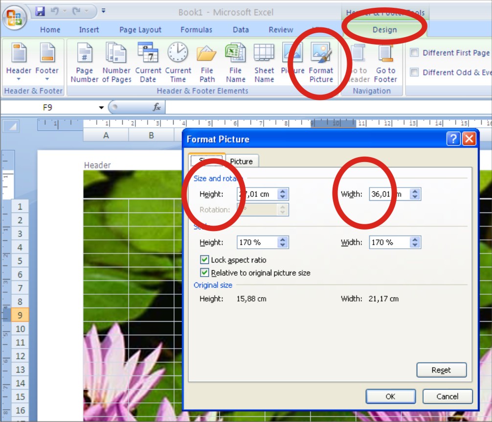 Membuat Background Pada Microsoft Excel Belajar Microsoft Office