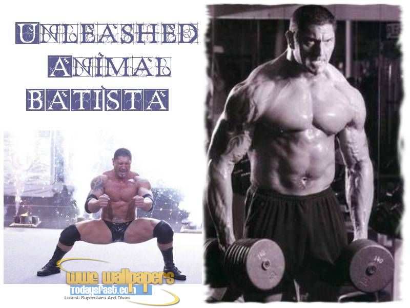 Wrestlers Wallpapers Batista Wallpapers