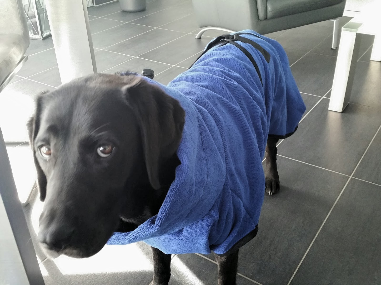 Diy Geschenkideen The Nina Edition