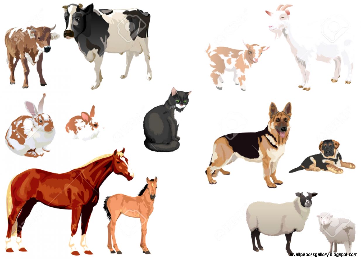 Clipart Set Of Domestic Animals With Cubs Royalty Free Cliparts
