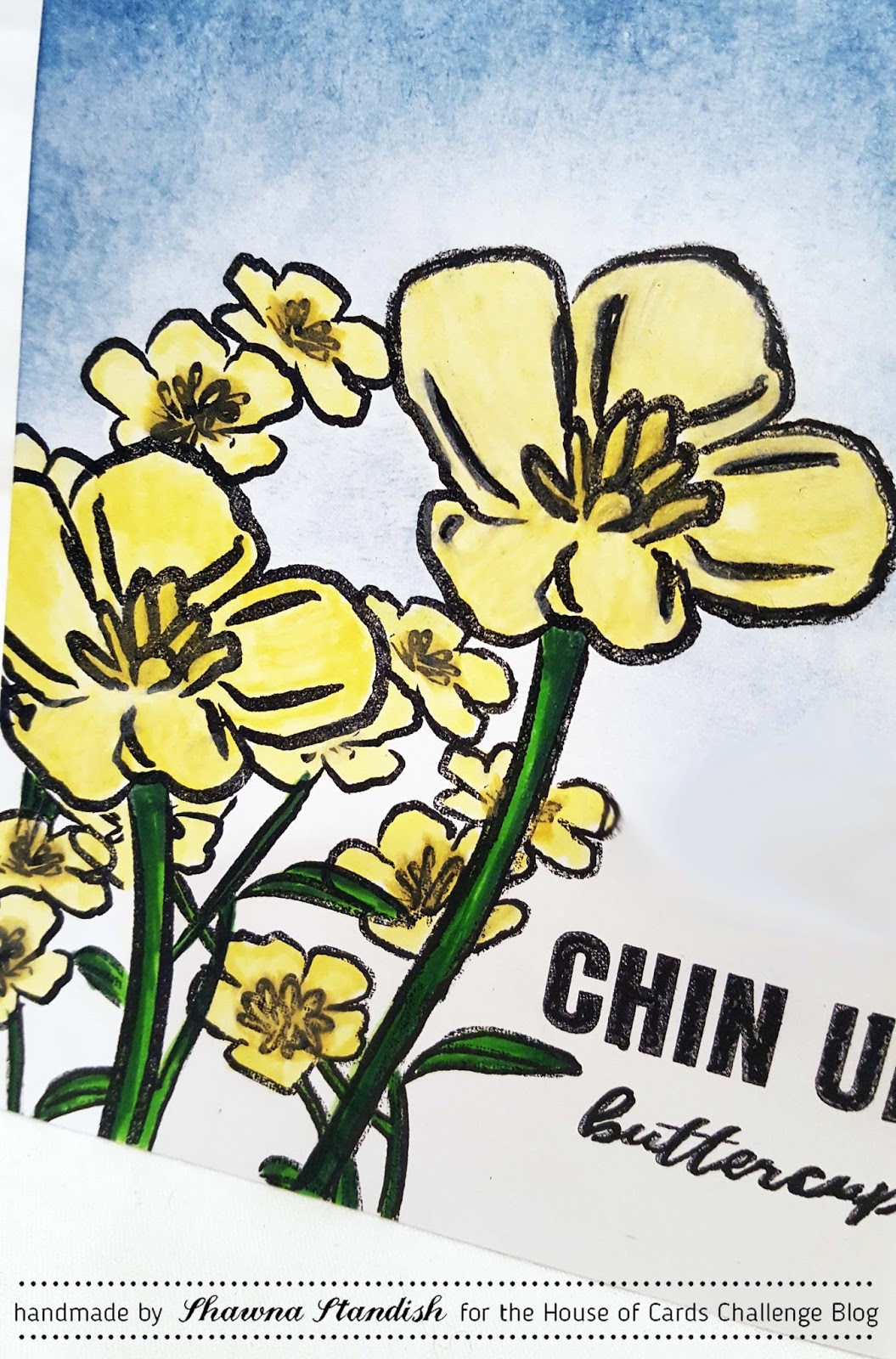 TheGrandStampede Chin Up Buttercup