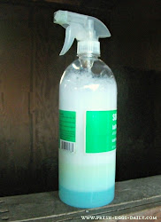 chicken mites chickens fresh coop treatment natural homemade treat eggs poultry prevention naturally rid mite spray daily oil coup help