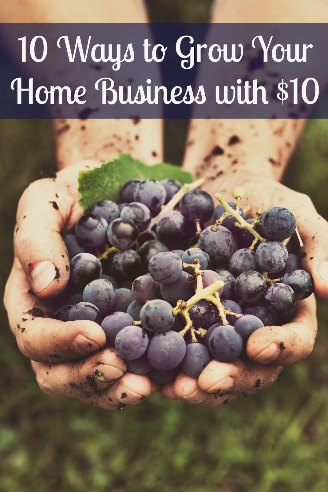 10 Ways to Grow Your Home Business for Just 10 1099 Mom
