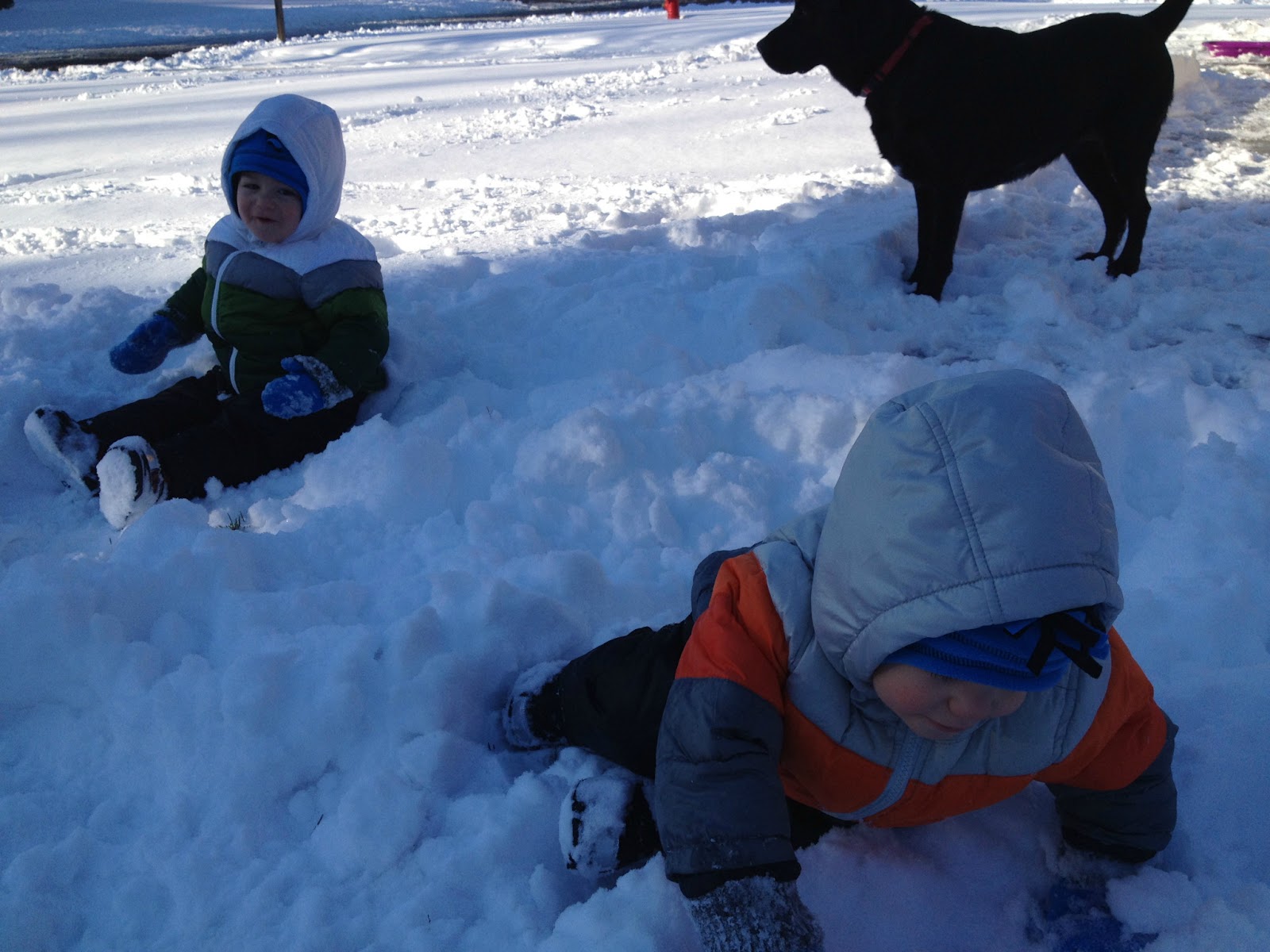 The twins and our pup: Our &quot;A Christmas Story&quot; inspired snow day