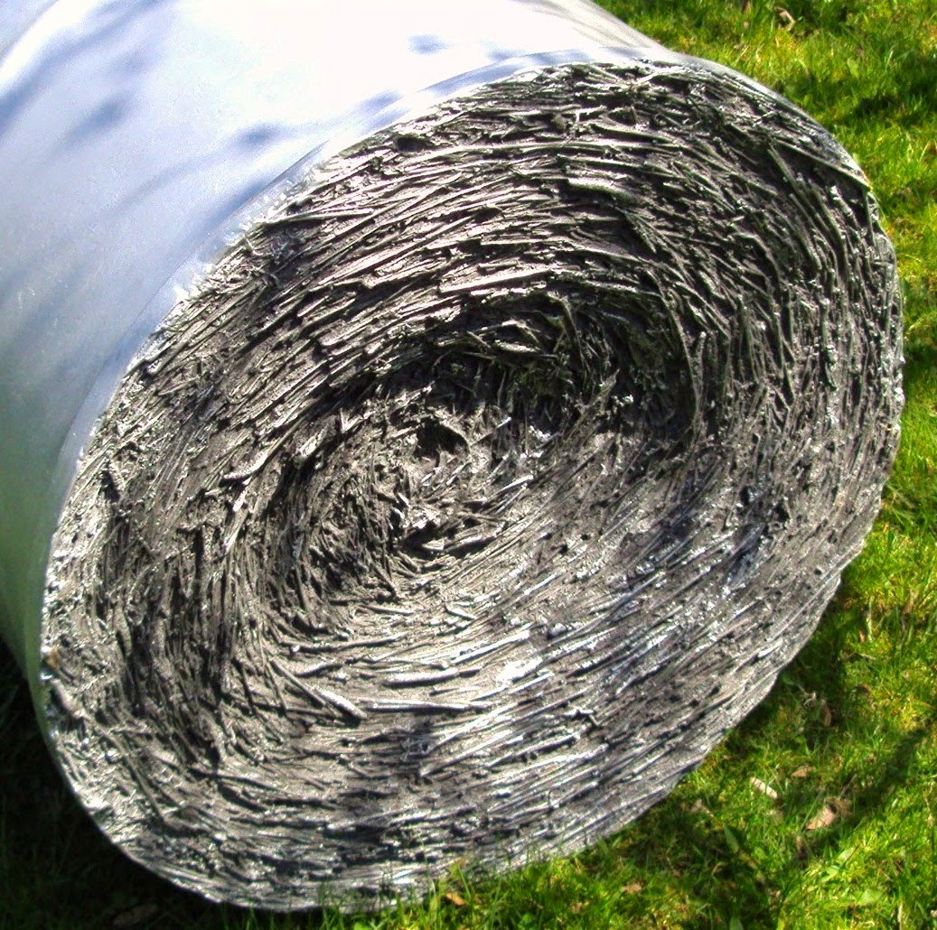 coral-penelope-lambert