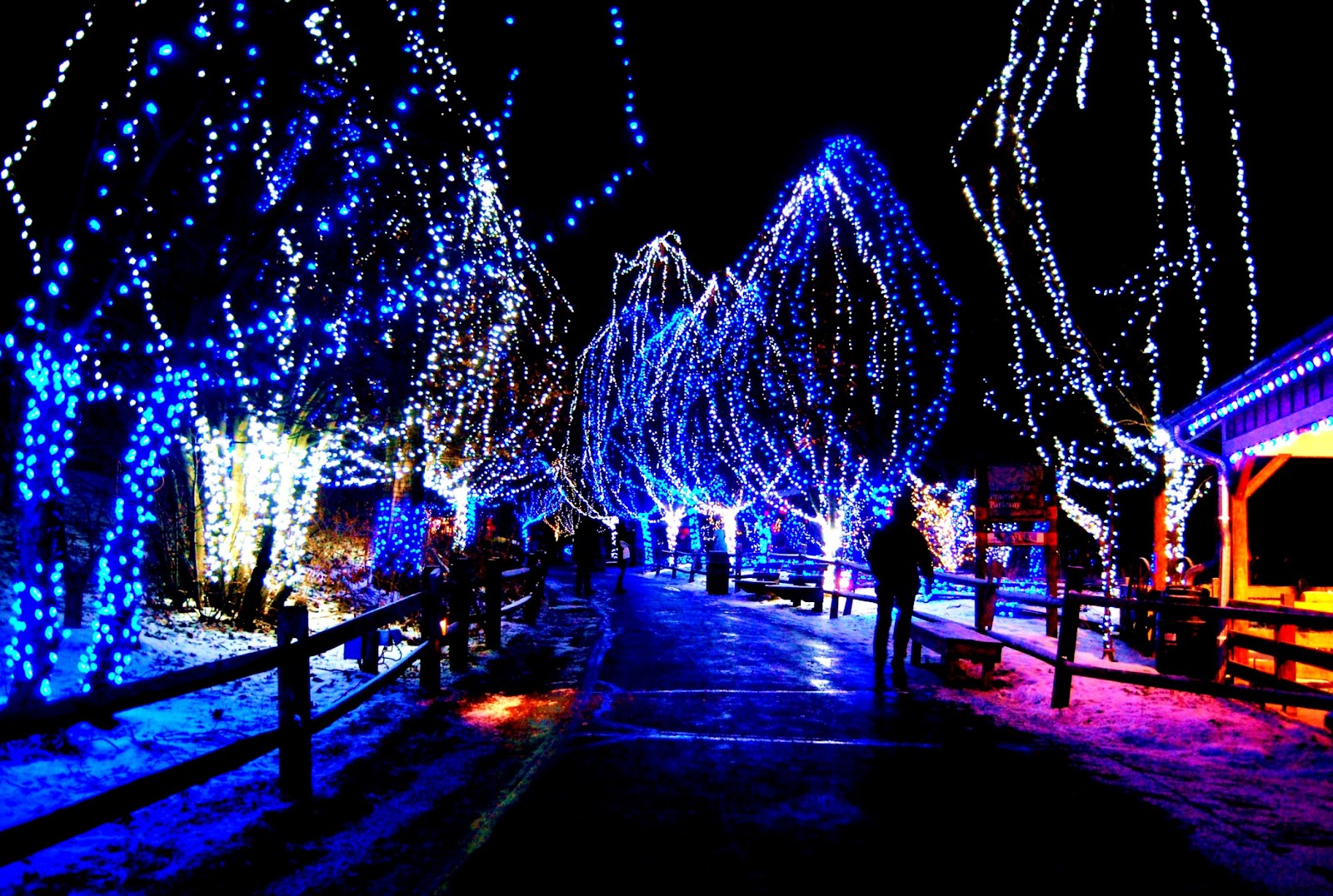  Animated  Christmas  Lights  For Desktop  Best HD Wallpapers 