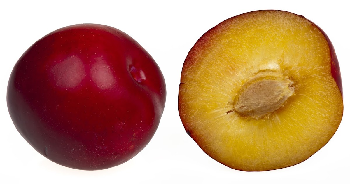 Cara Makan Buah Plum Serta Manfaatnya Bagi Kesehatan Lentera Padi