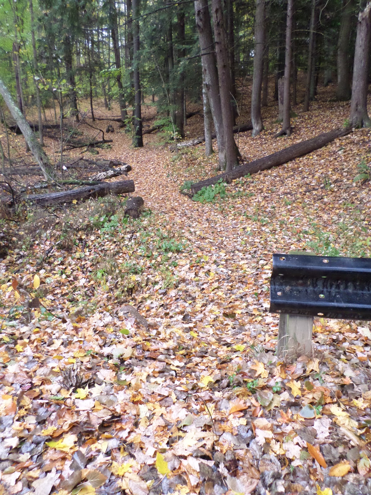 Mitten Tracks Murphy Lake State Game Area, part two Murphy Lake Rd