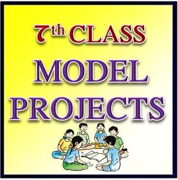 INTRODUCTION FOR SCIENCE PROJECT CLASS 7 visual data 7