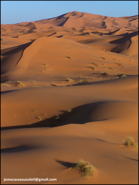 Dunes de Merzouga - Erg Chebbi