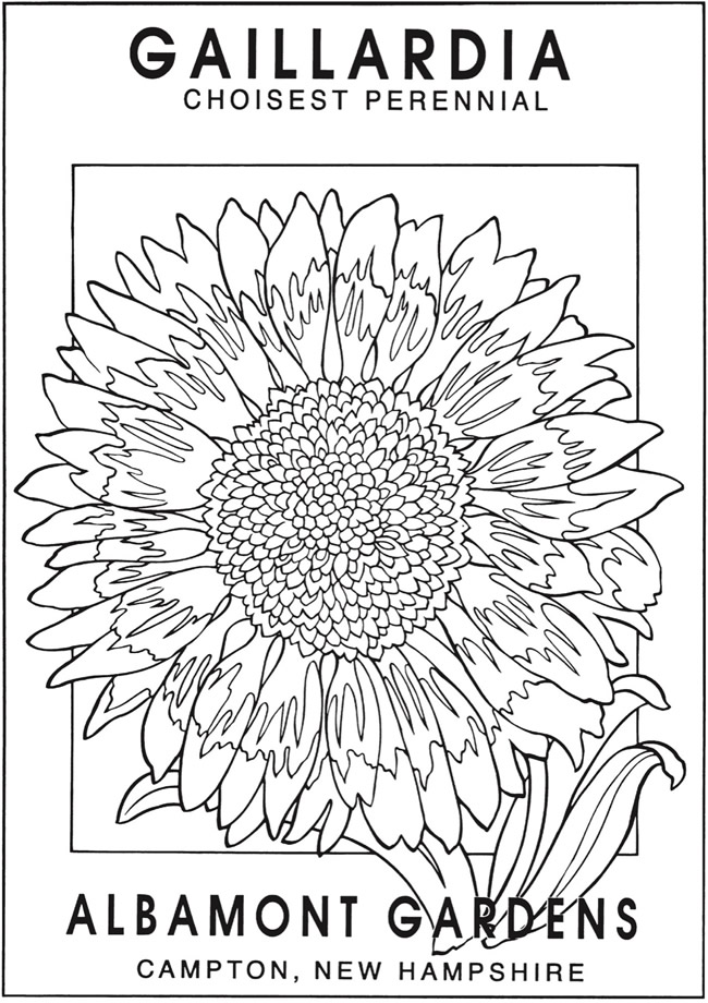Dragonfly Treasure: Vintage Flower Seed Packets Coloring Pages