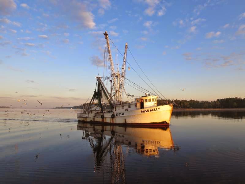 Cruising the ICW with Bob423 Swan Point Marina at a dock