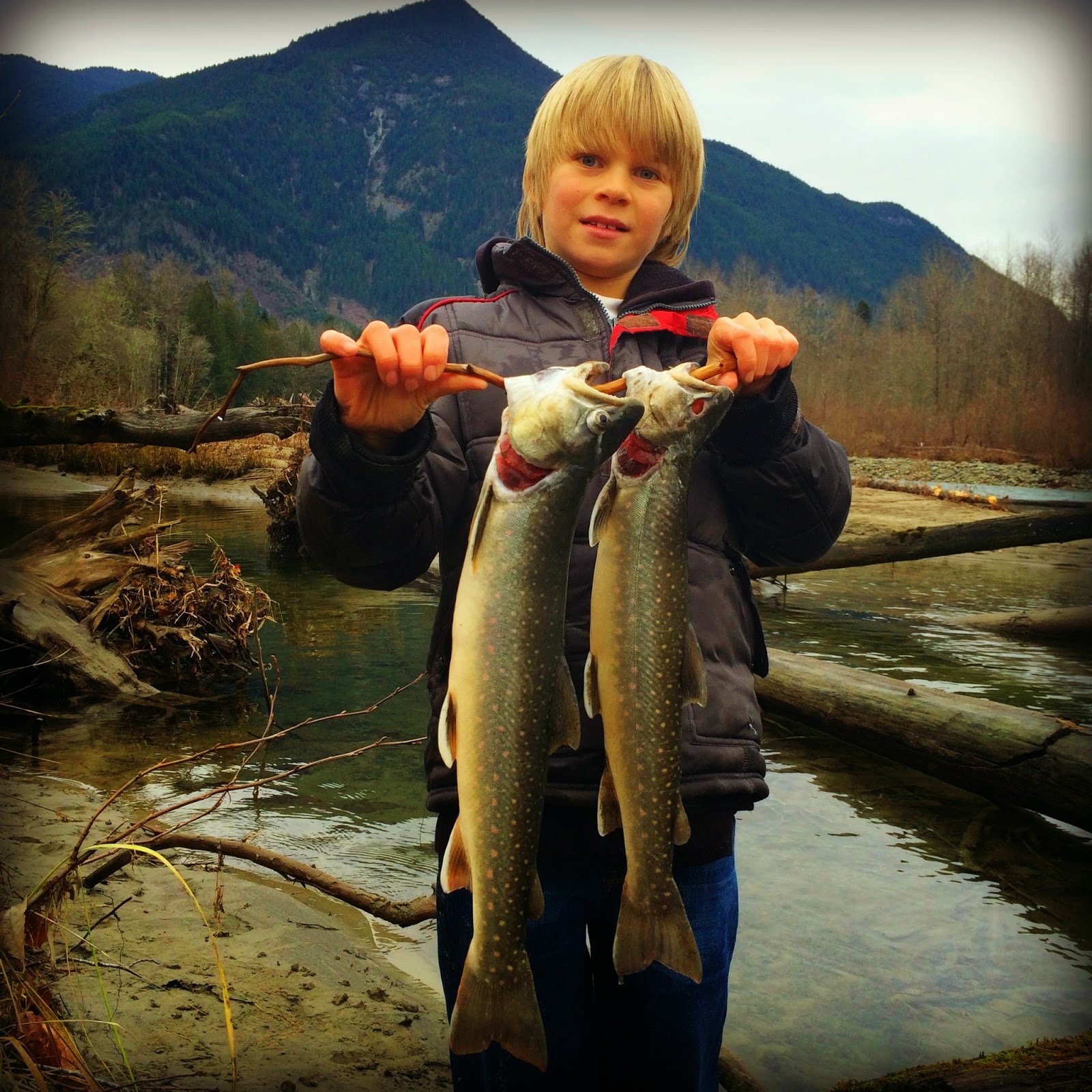 Marblemount Homestead: A fishing tale, whereby my sons are kicking a  pro-fisherman's ass