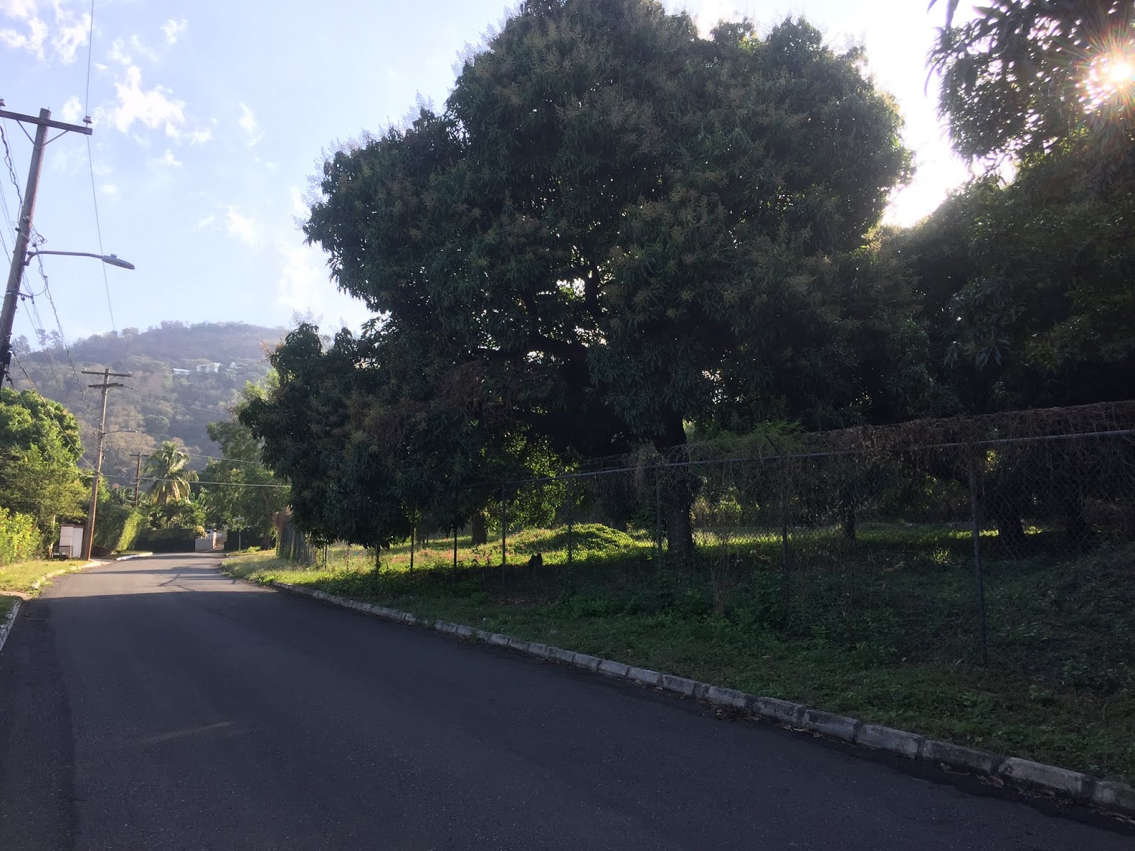 Jamaica, The Concept of Yard and Yardie