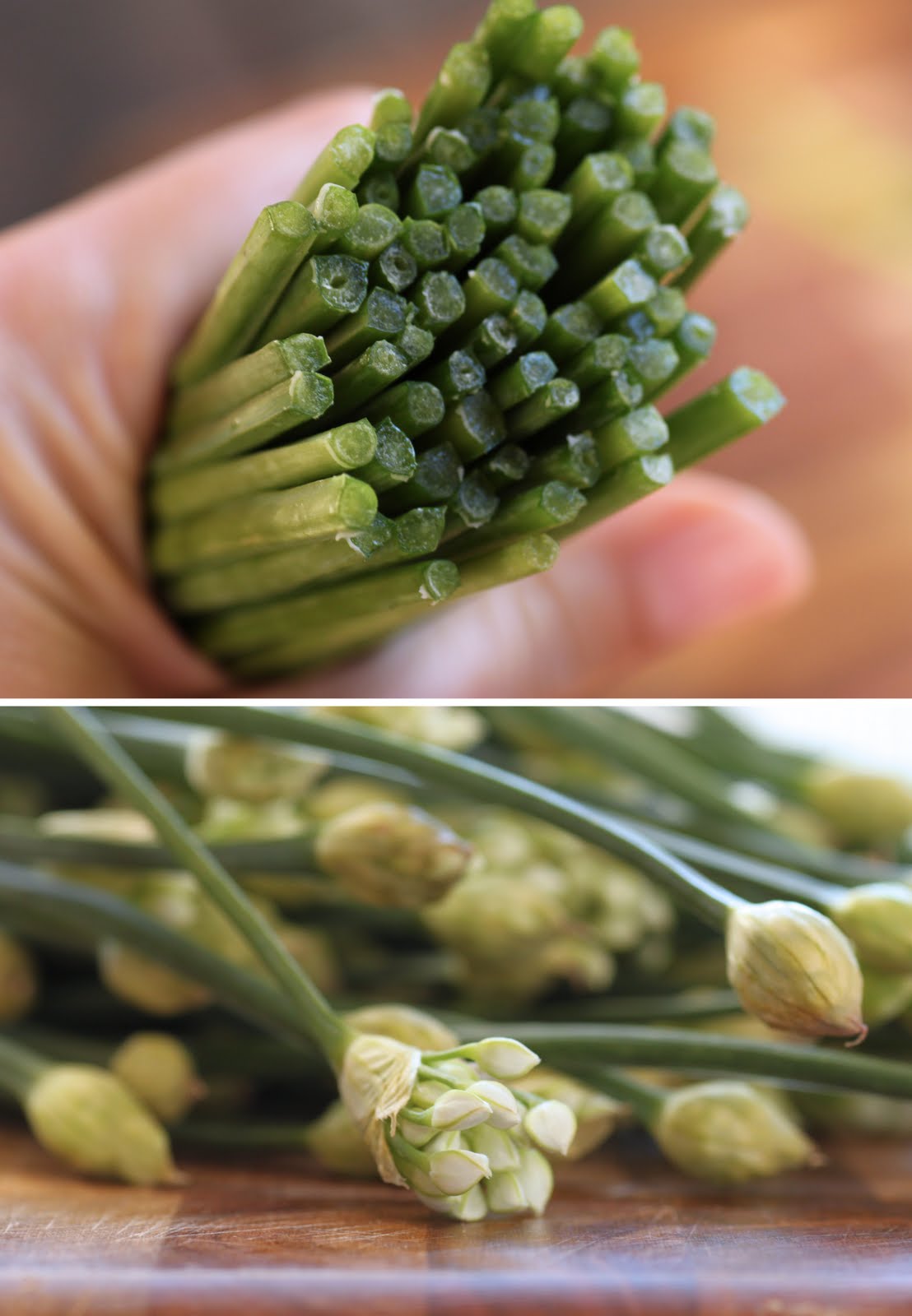 The Cilantropist Pasta with Scallops, Beurre Blanc, and Chive Buds